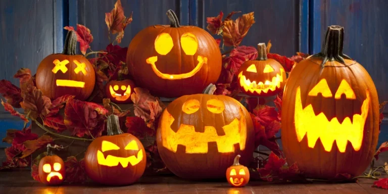A selection of pumpkins with 9 easy different carvings