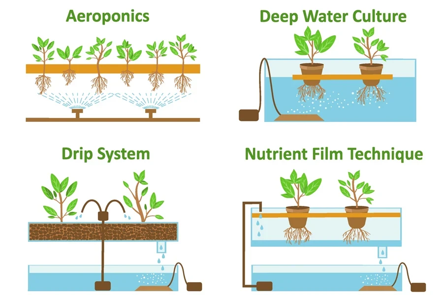 Labeled diagrams of different hydroponic systems