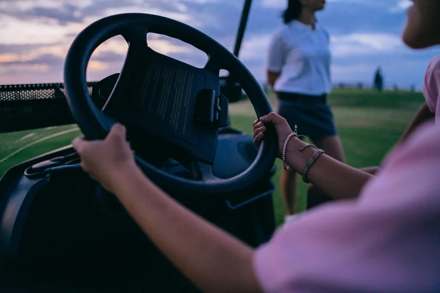 Person Driving a Golf Cart