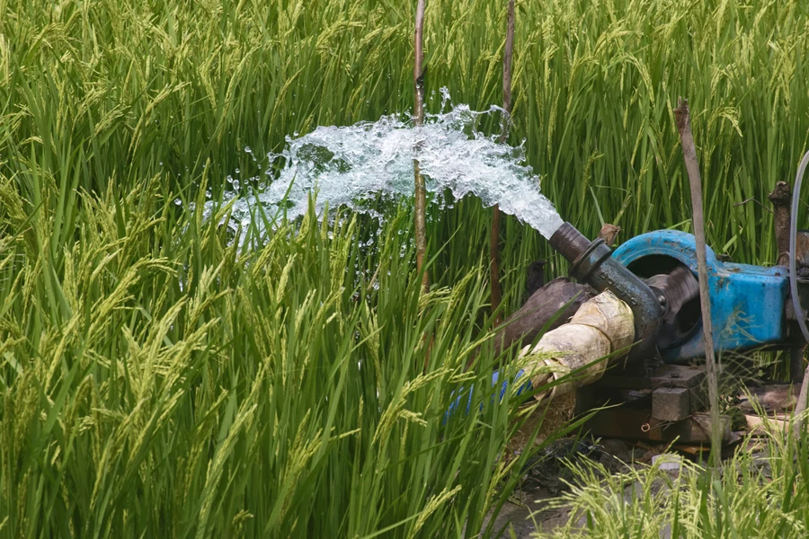 Scene of agricultural irrigation in a village of West Bengal