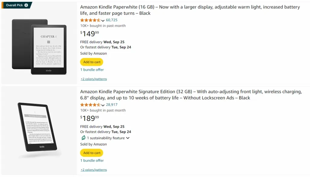 Screenshot of Kindle eReader in Amazon