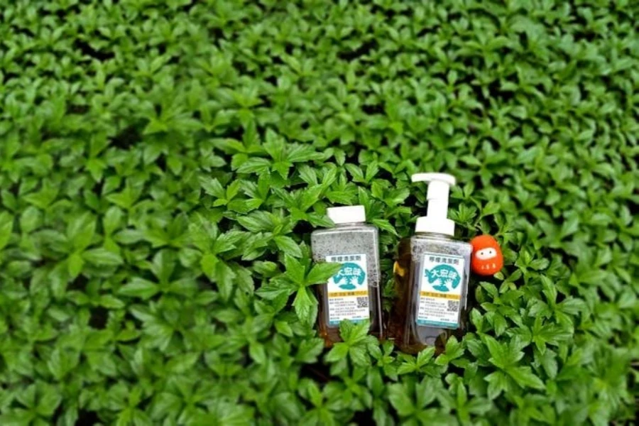 Transparent shampoo bottles on green grass