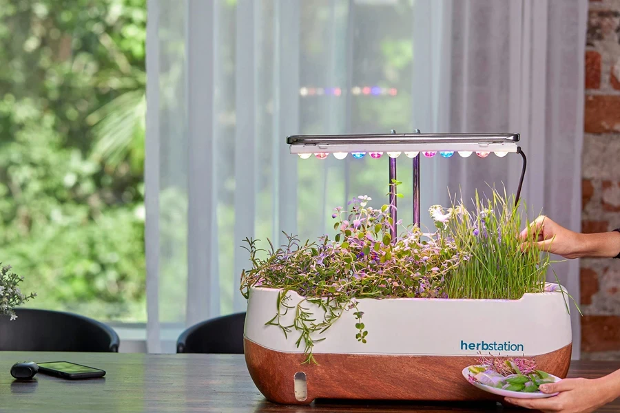 a microgreen kit with lamp