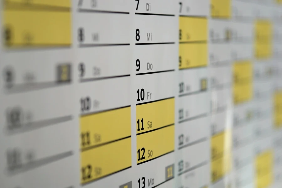 calendar with days and time slots