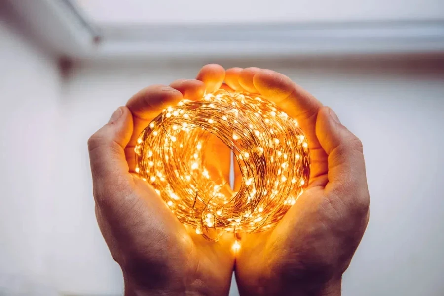 close-up shot of a person holding a roll of copper string lights