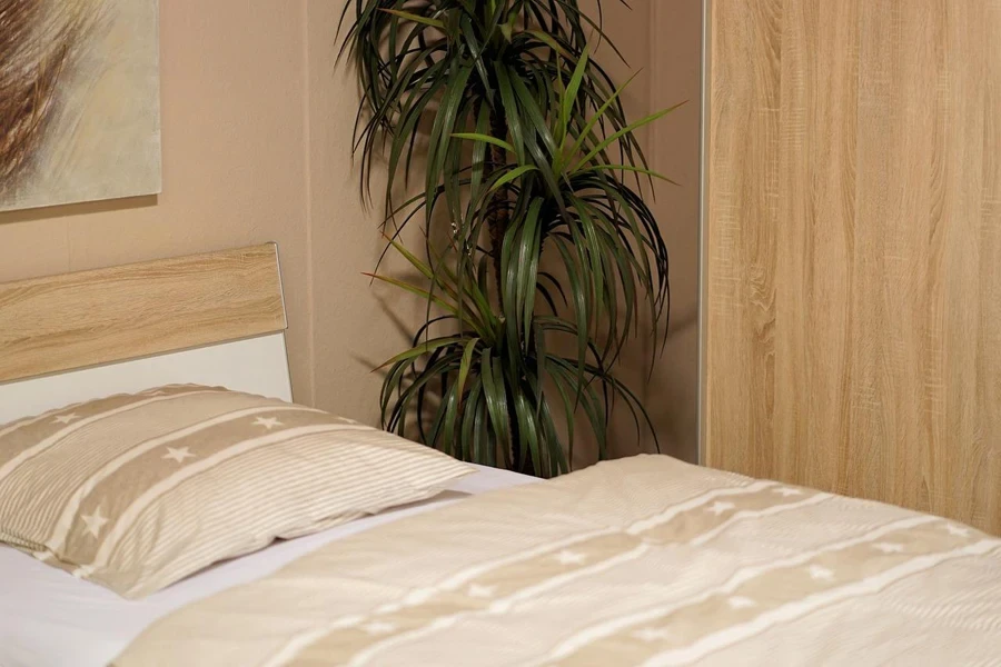 A bed with a plant in the corner