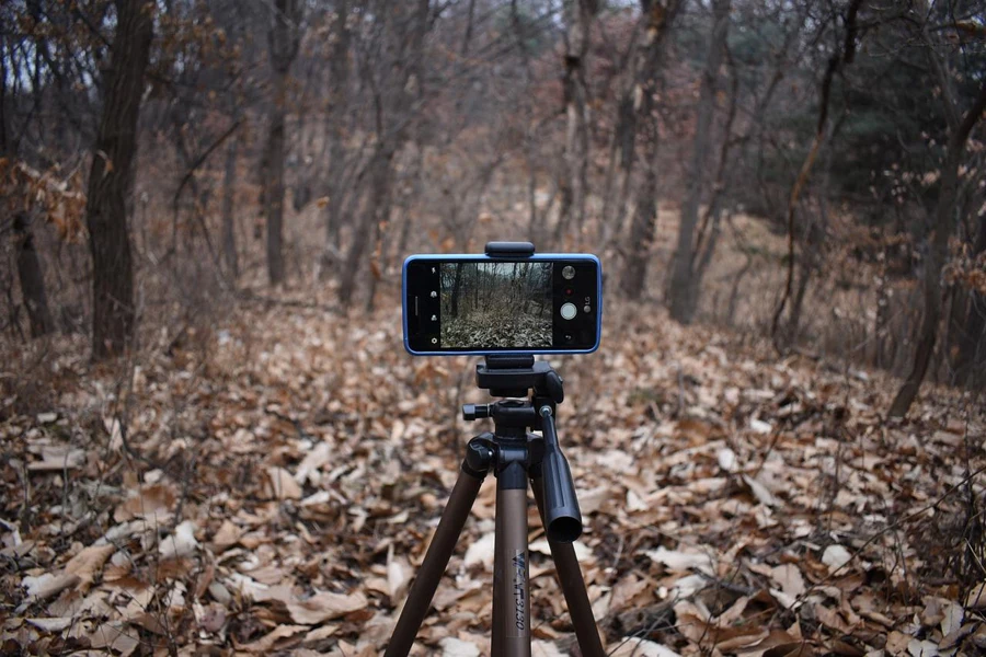 A camera on a tripod in a forest