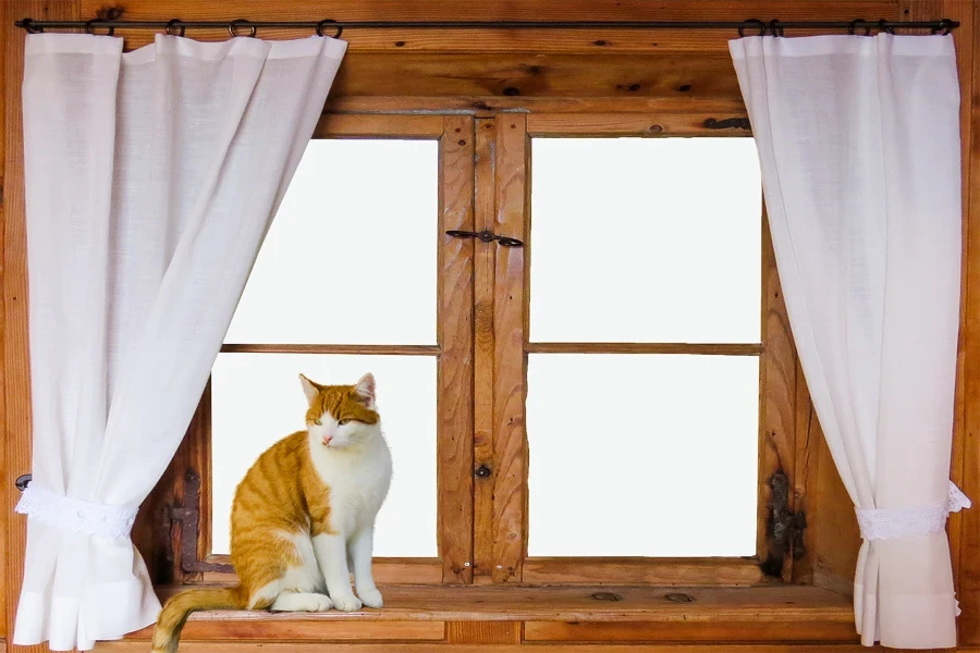 A cat sitting on a window sill