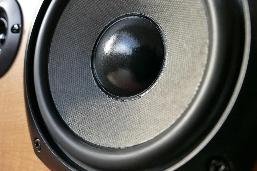 A close-up of a subwoofer speaker