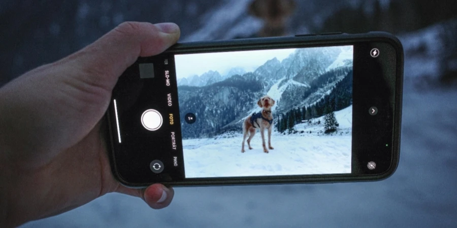 A hand holding a phone with a dog on it