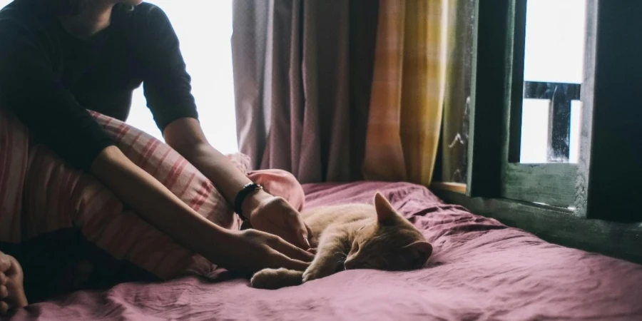 A person petting a cat on a bed