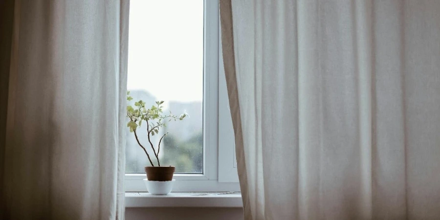 A plant in a pot on a window sill