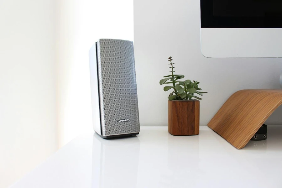 A speaker on a desk