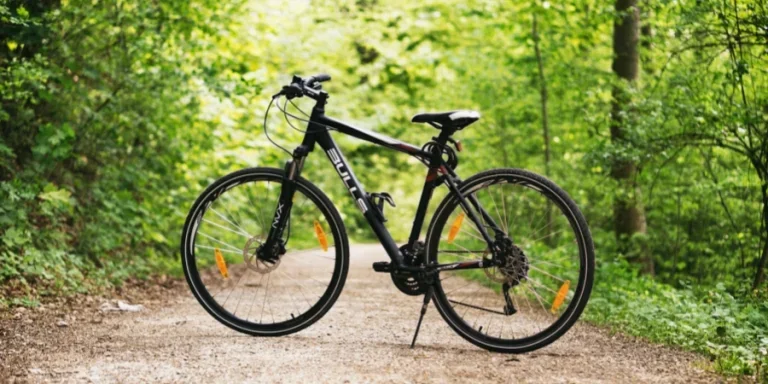 Black and White Hardtail Bike on Brown Road Between Trees