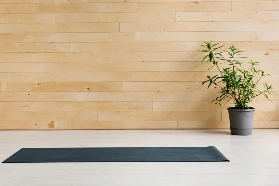 Gym with yoga mat interior