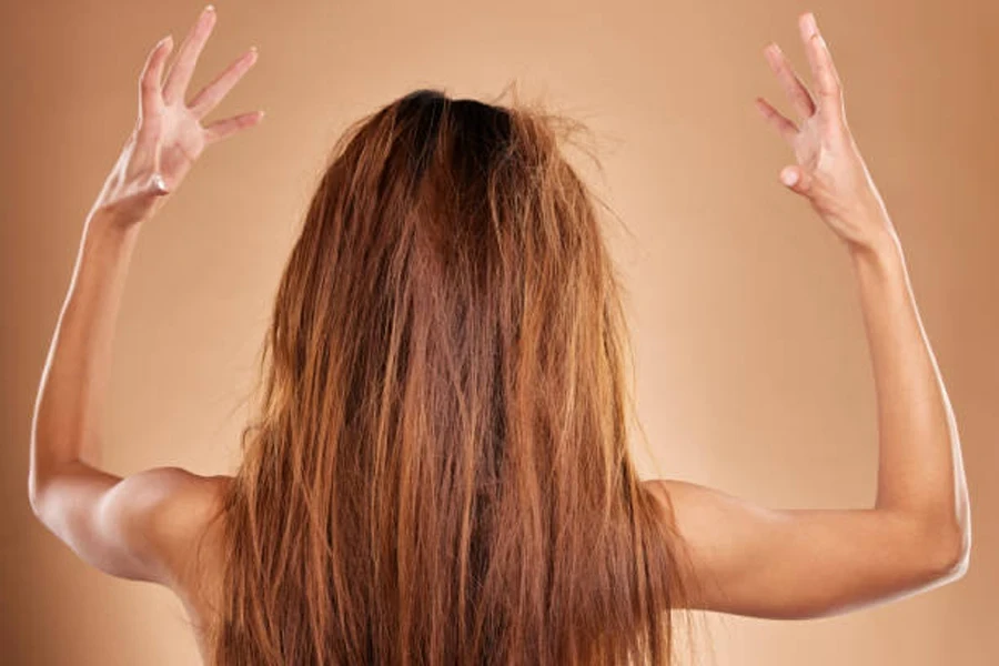 Messy, Tangled and Back of a Woman in a Studio with Knot, Brittle and Damaged Hairstyle