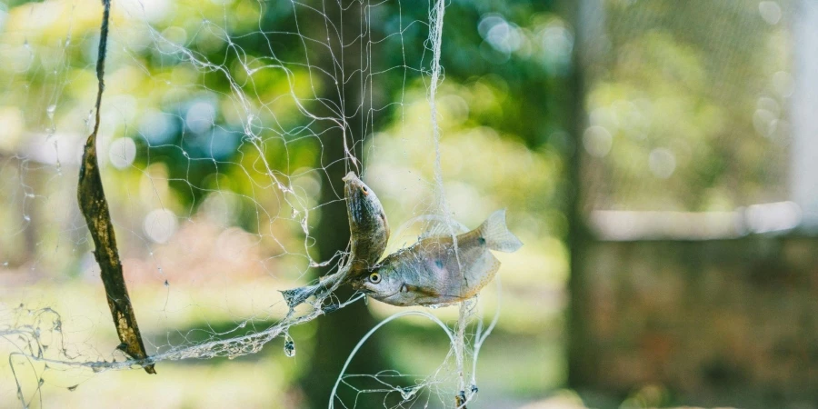 Selective focus photography of two fish on white net