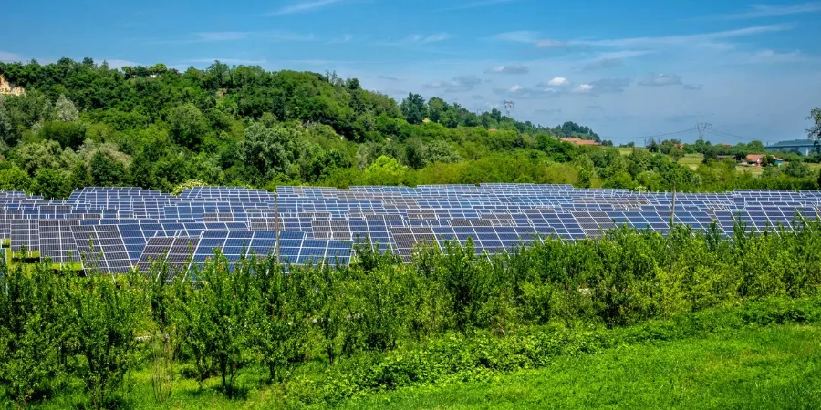 Solar panel park