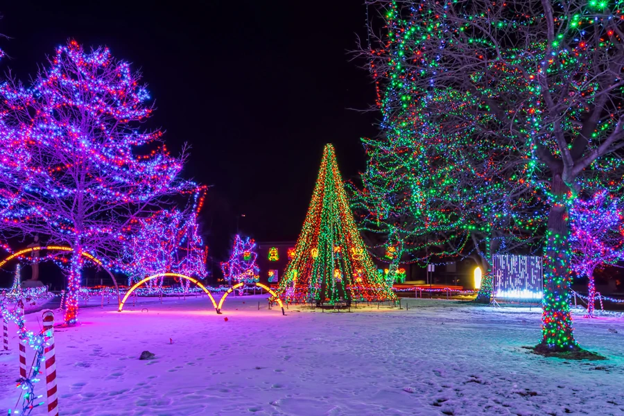 Three trees with various types of lights