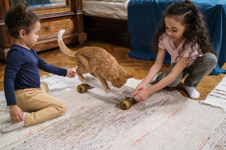 Two girls playing with a cat on a skateboard