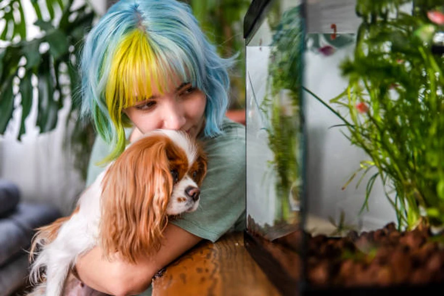 Young Girl with Colored Hair