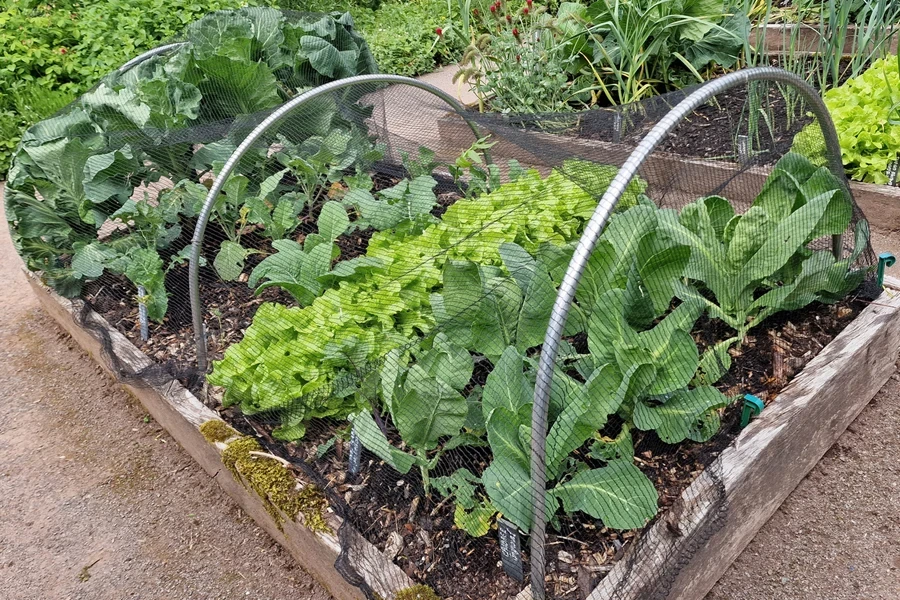 garden netting