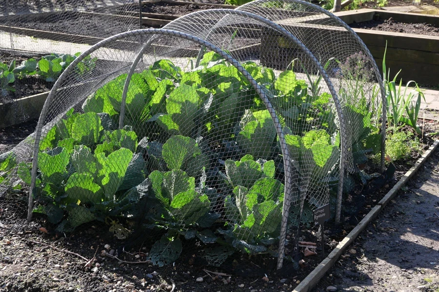 garden netting