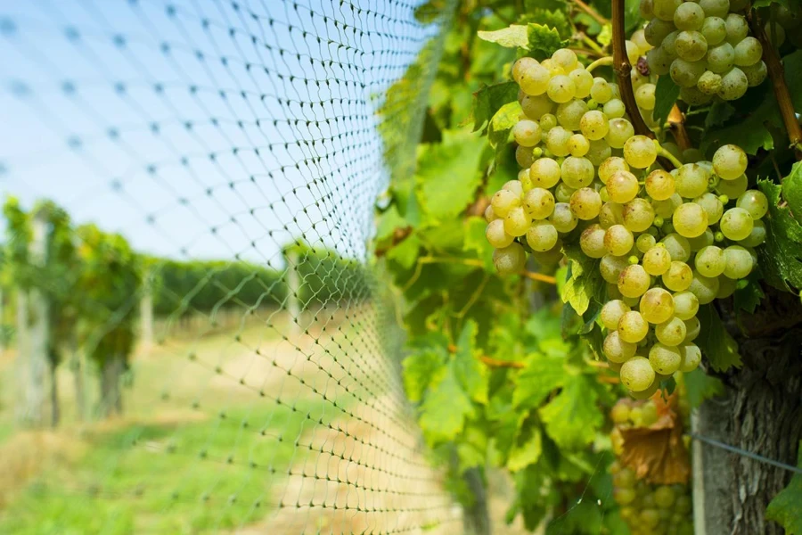 garden netting