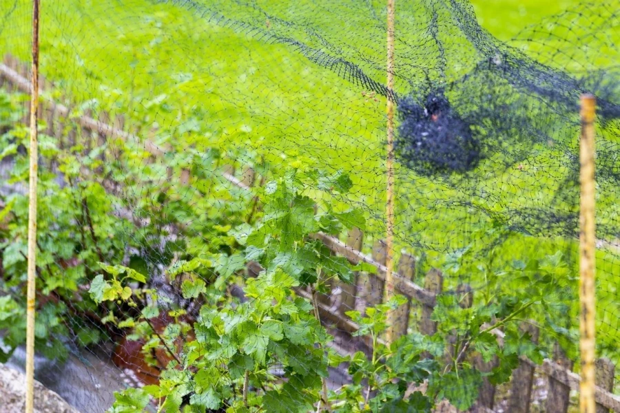 garden netting