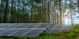 photovoltaic solar power panel on larch forest summer with different trees