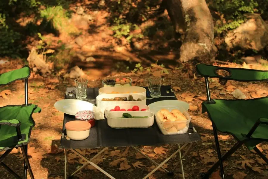 Charming outdoor picnic setup with food and drinks in a serene autumn setting