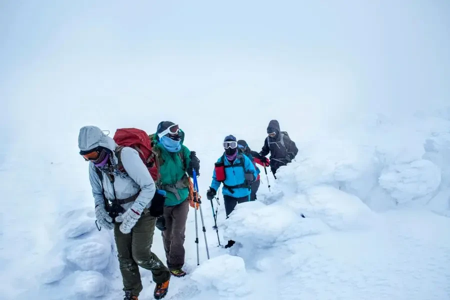 vier mense wat op sneeu trek