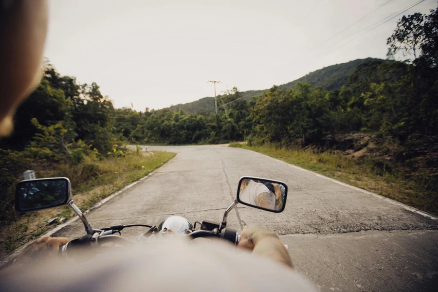 A Person Riding on a Motorcycle while Moving on the Road Between Green Trees