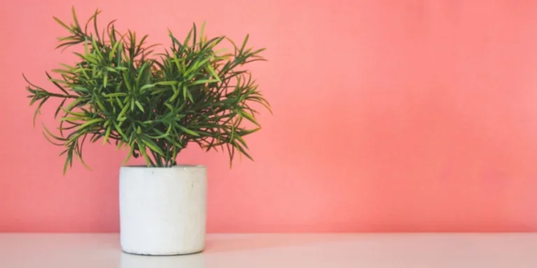 Planta artificial en maceta blanca