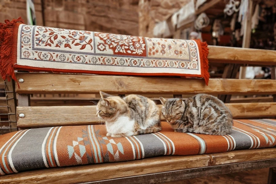 Cats Lying Down on Bench