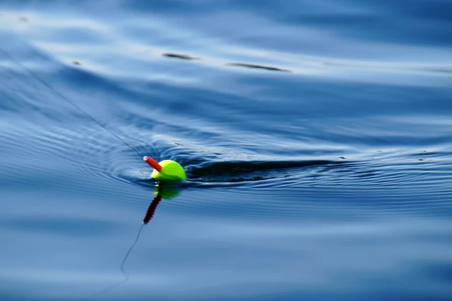 Fishing line being dragged across water in a pond