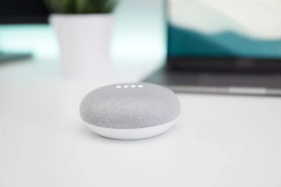 Google Home Mini