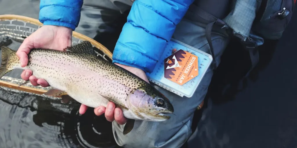 Man holding fish caught using effective fishing feeders