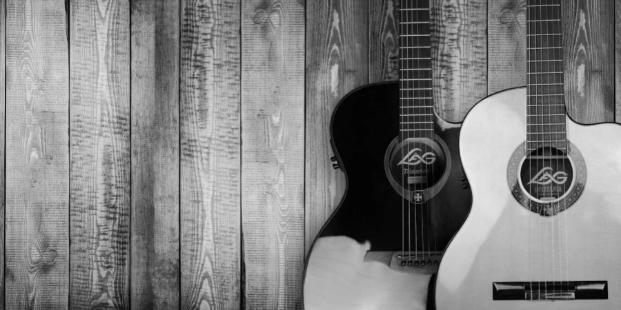 Two Grayscale Acoustic Guitars