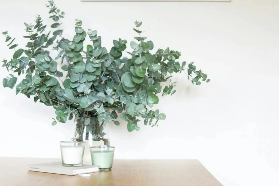 Two glass pots of green-leafed indoor plants