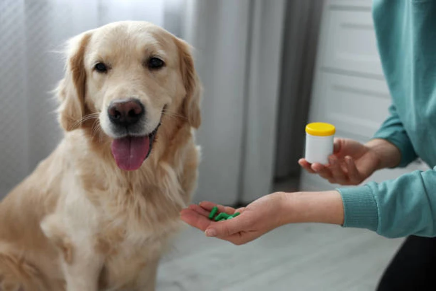 Woman Giving Pills to Cute Dog