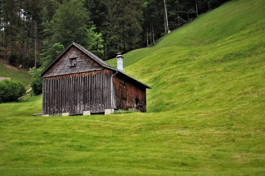 A cottage-like chicken in a farm