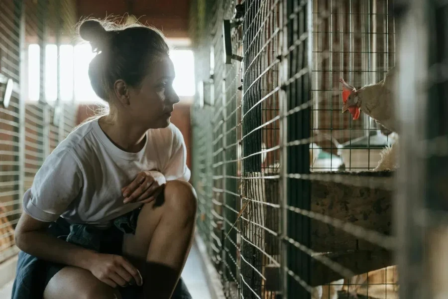 A woman sitting inside the coop