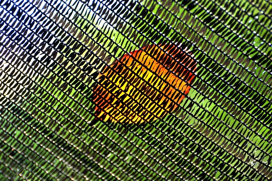 detail of a shading net