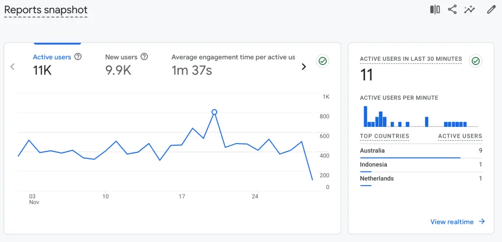 example of website usage data in google analytics