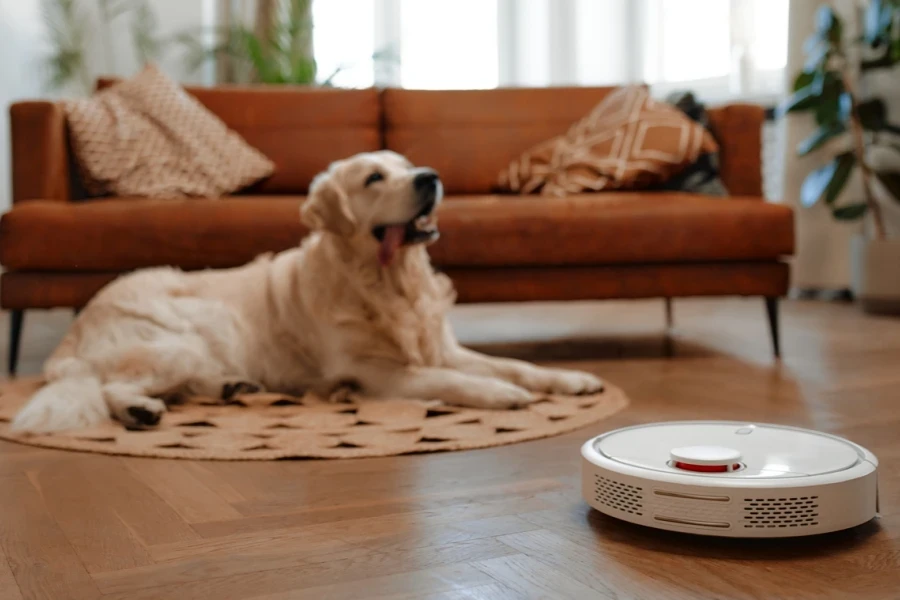 robot vacuum