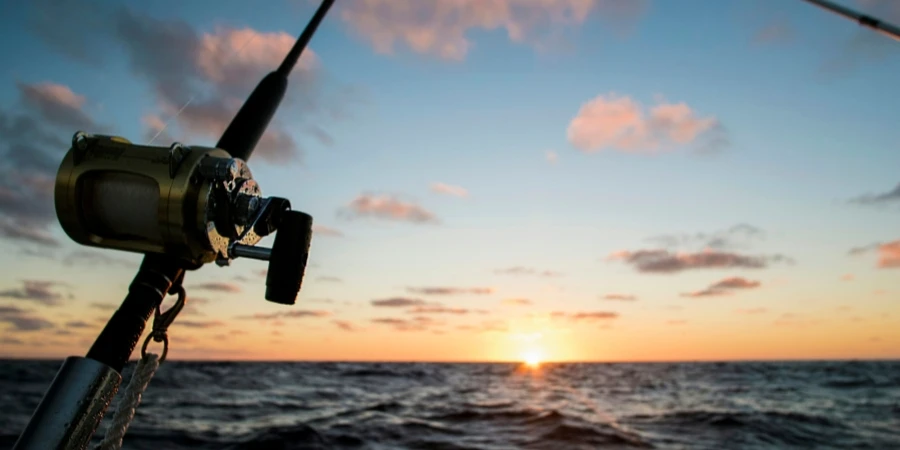 silhouette of fishing rod facing sunset