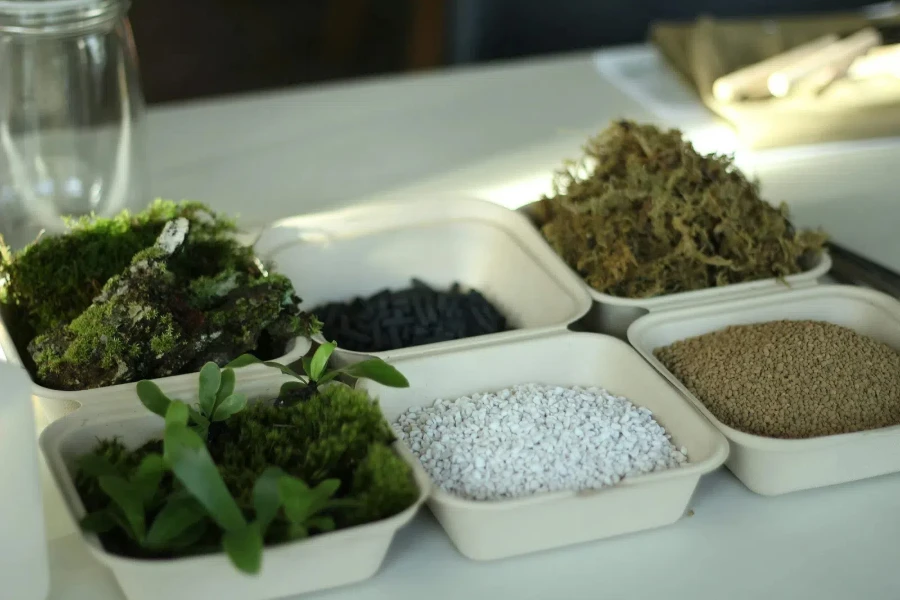 small containers with different soil, pebbles and greenery