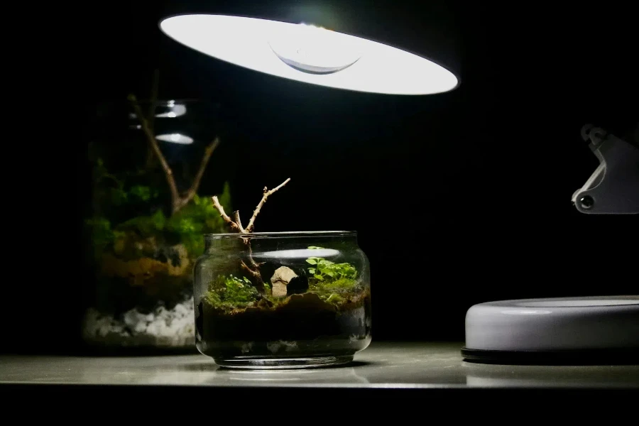 small vase with plants under a light