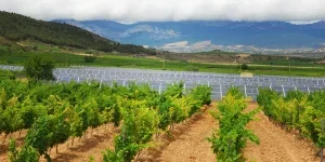 planta solar